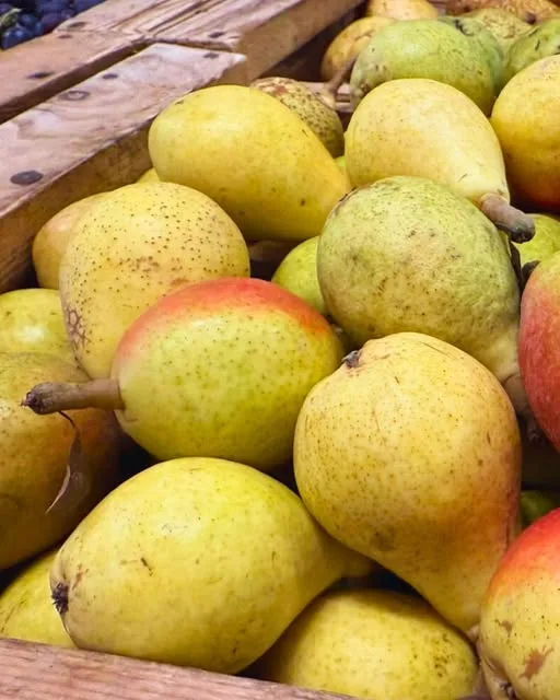Pere fresche