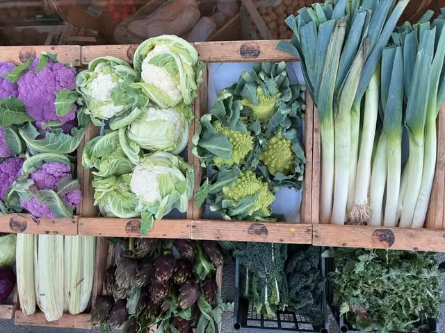 Cavolfiori, romanesco e porri